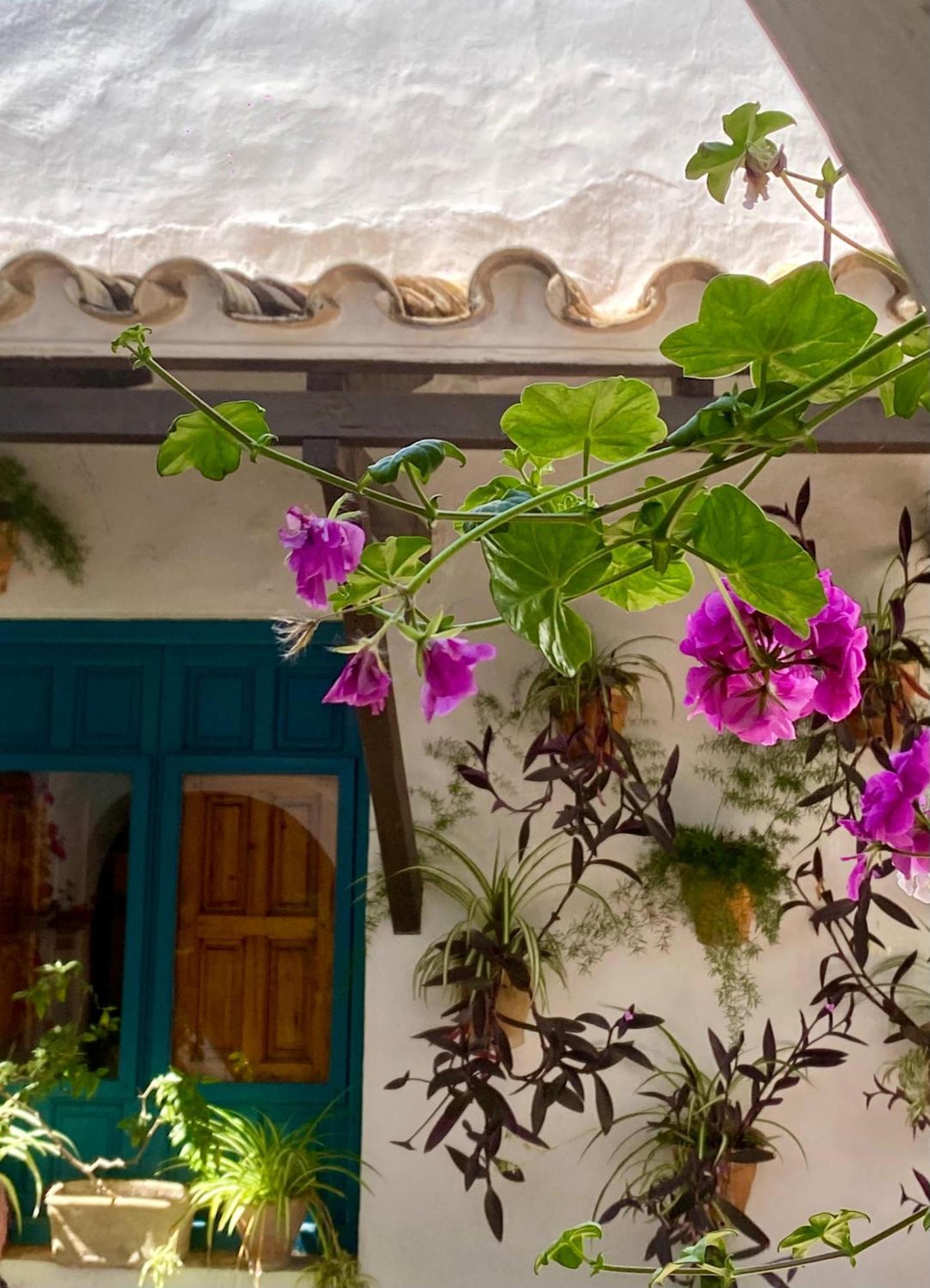 La Buganvilla De Santiago Córdoba Eksteriør billede