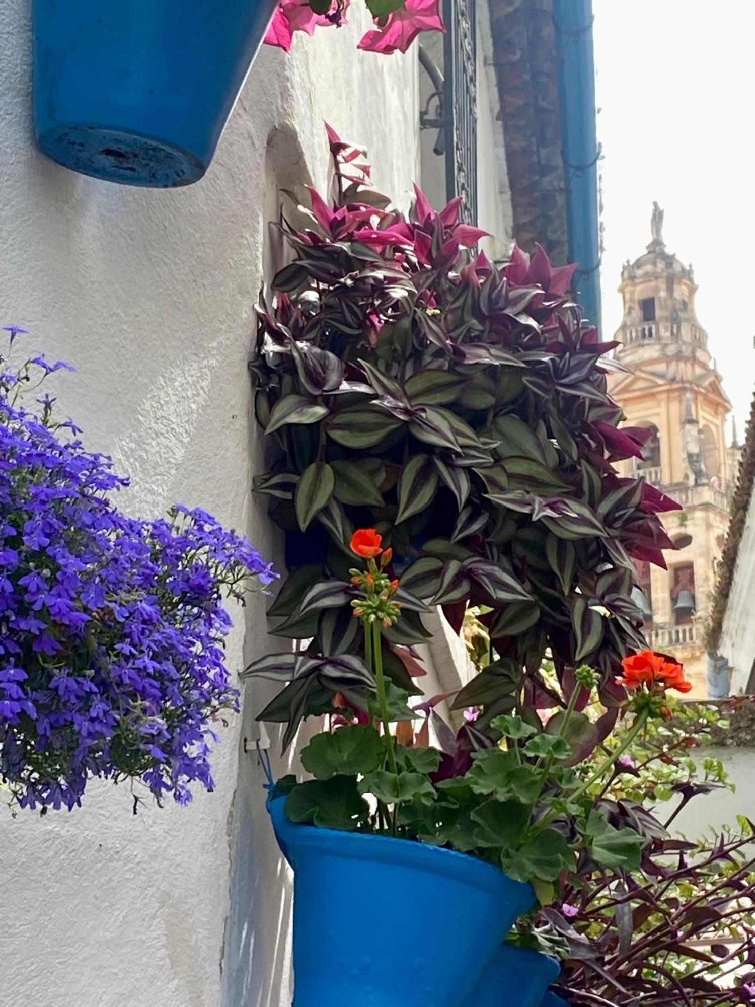 La Buganvilla De Santiago Córdoba Eksteriør billede