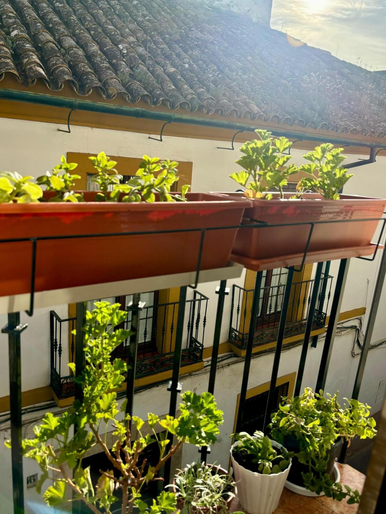 La Buganvilla De Santiago Córdoba Eksteriør billede