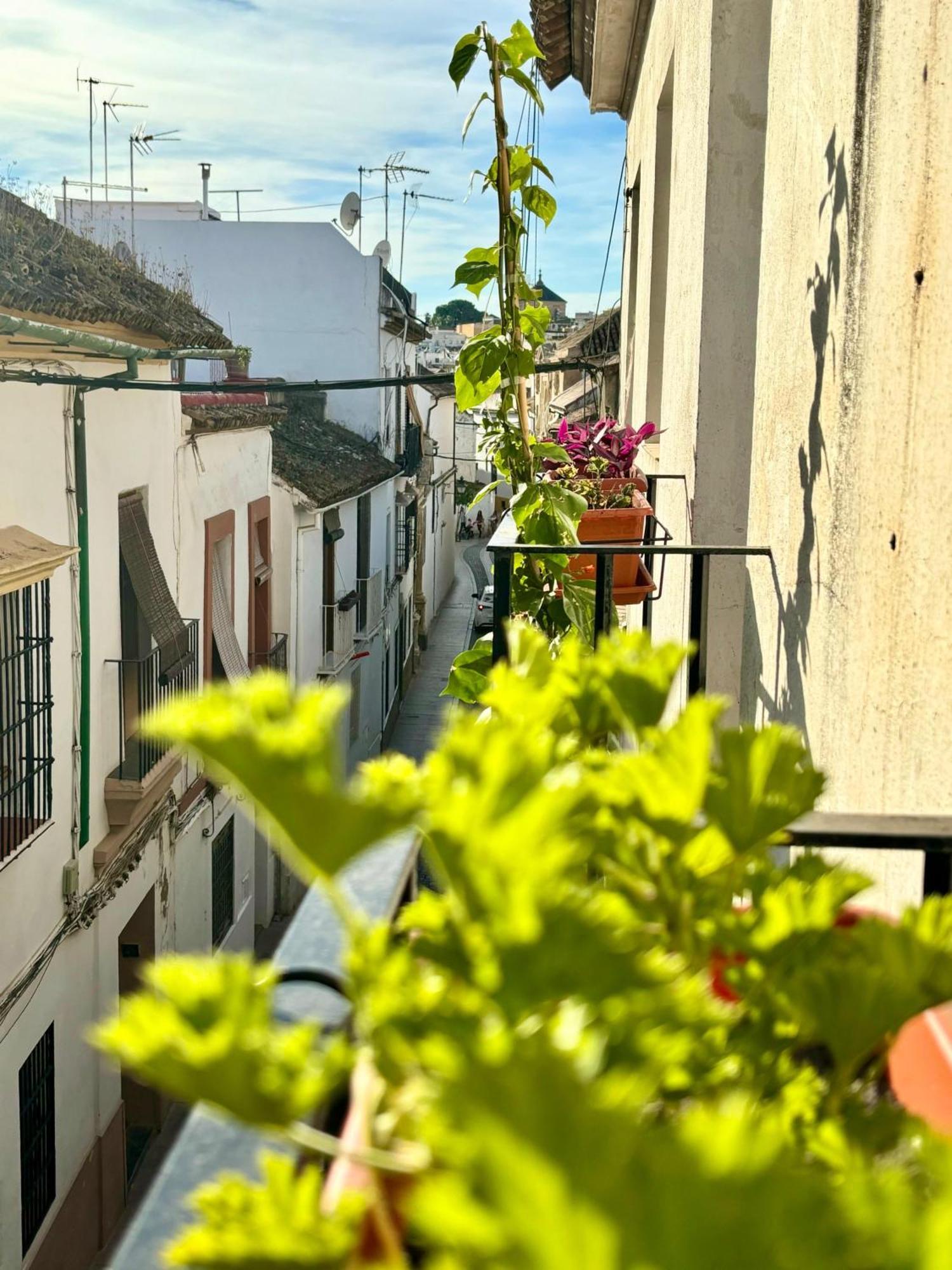 La Buganvilla De Santiago Córdoba Eksteriør billede